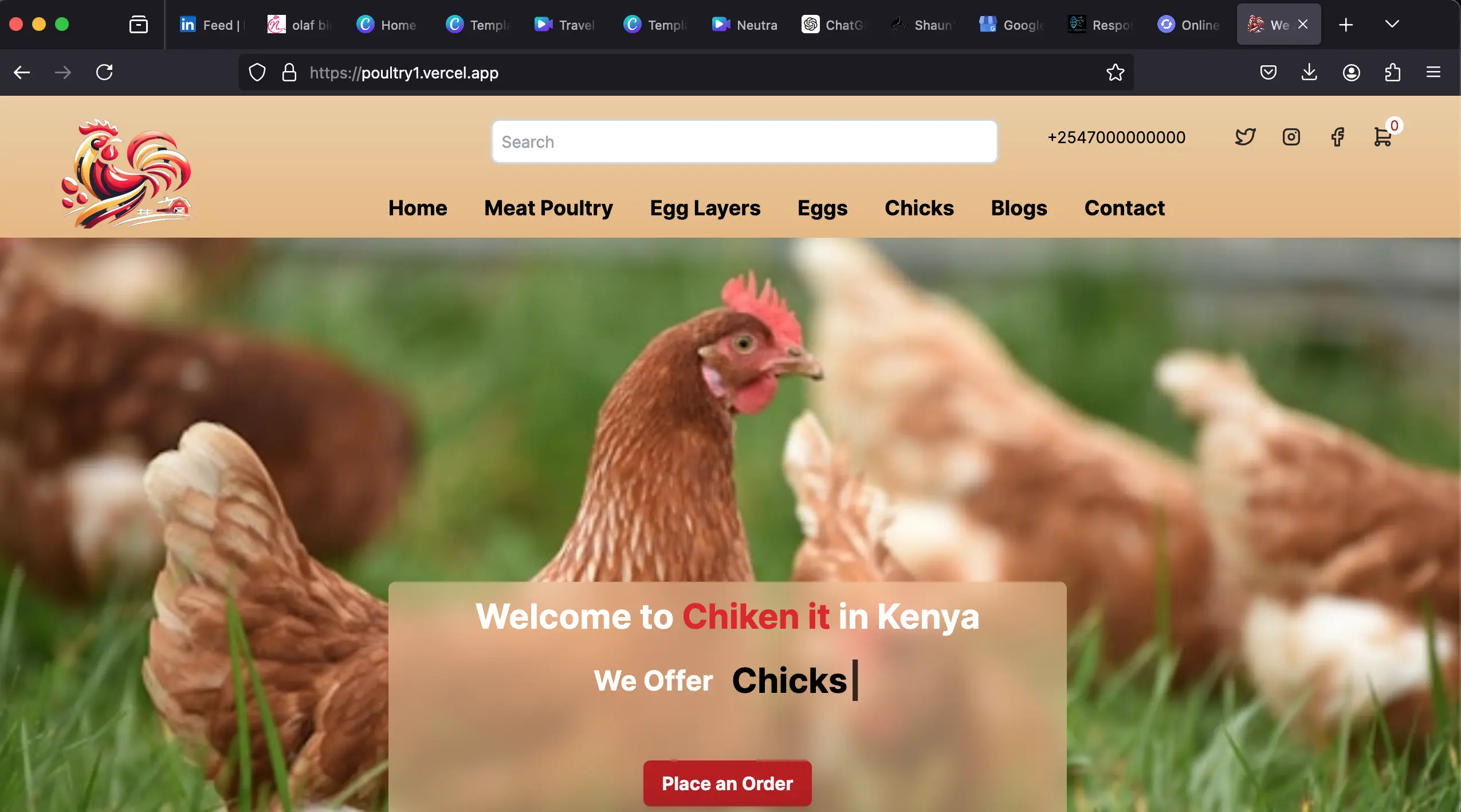 Chantosweb developers Poulty e-commerce website template